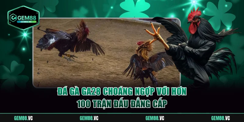 Đá gà GA28